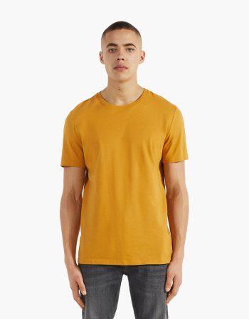 Steady T-Shirt